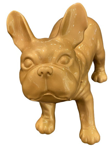 Bulldog Gaze - Gold