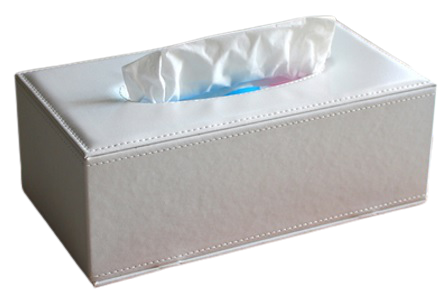 Nest Plain Tissue Box White